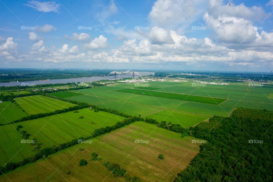 Farmland outside of New Orleans 