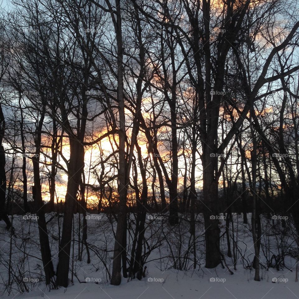 Winter sunset 