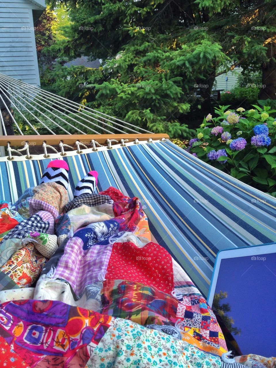 Lazy day in the hammock