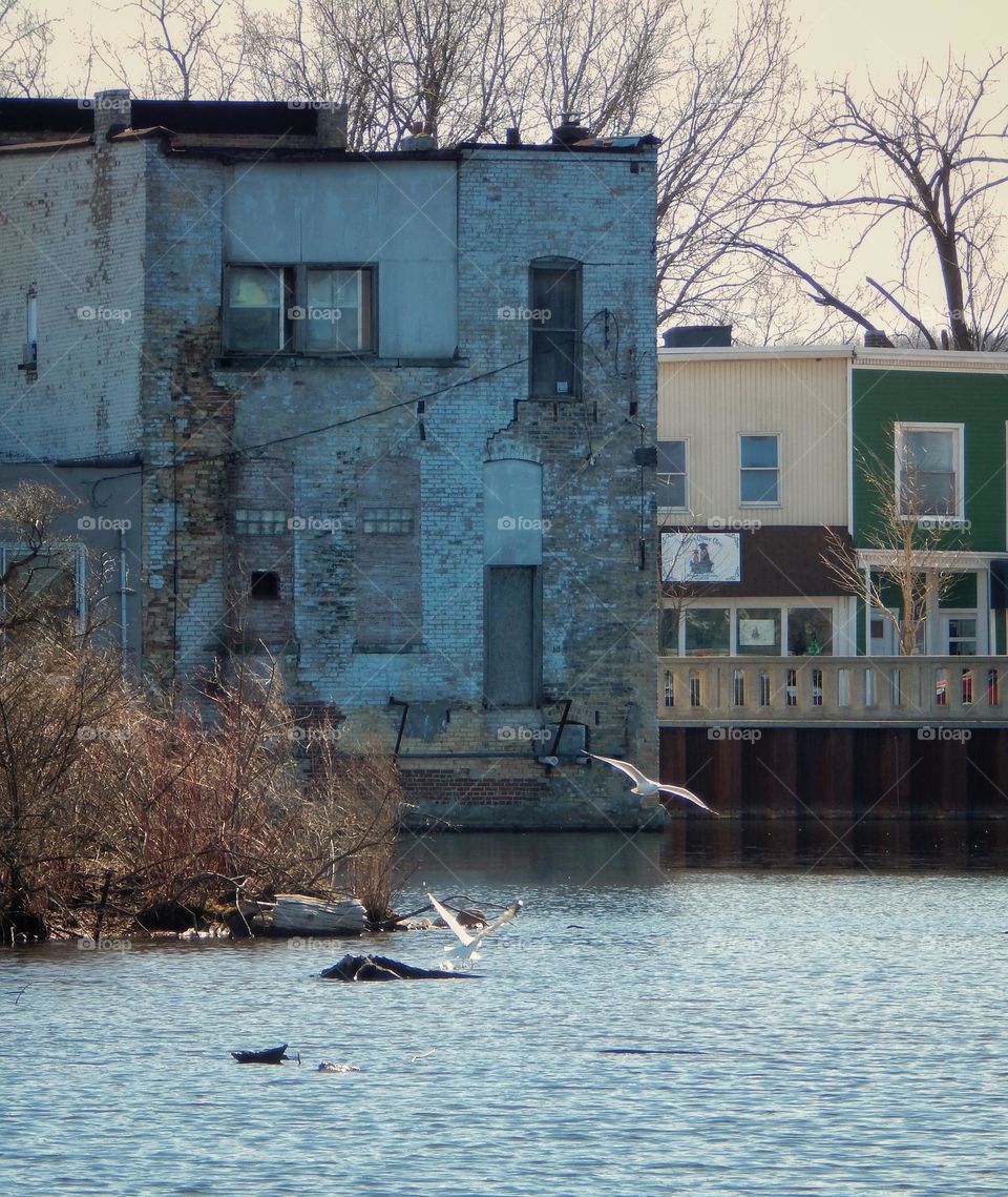 Two seagulls fly over Michigan river in front of a dilapidated brick building under an overcast gray sky