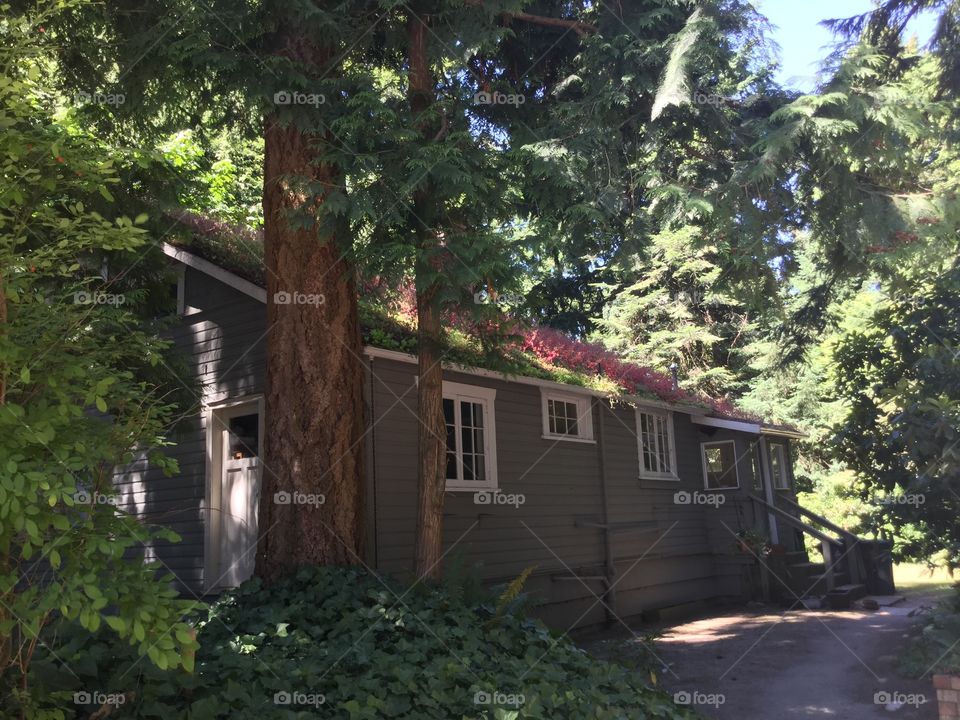 Old Abandoned House in the middle of Nowhere 