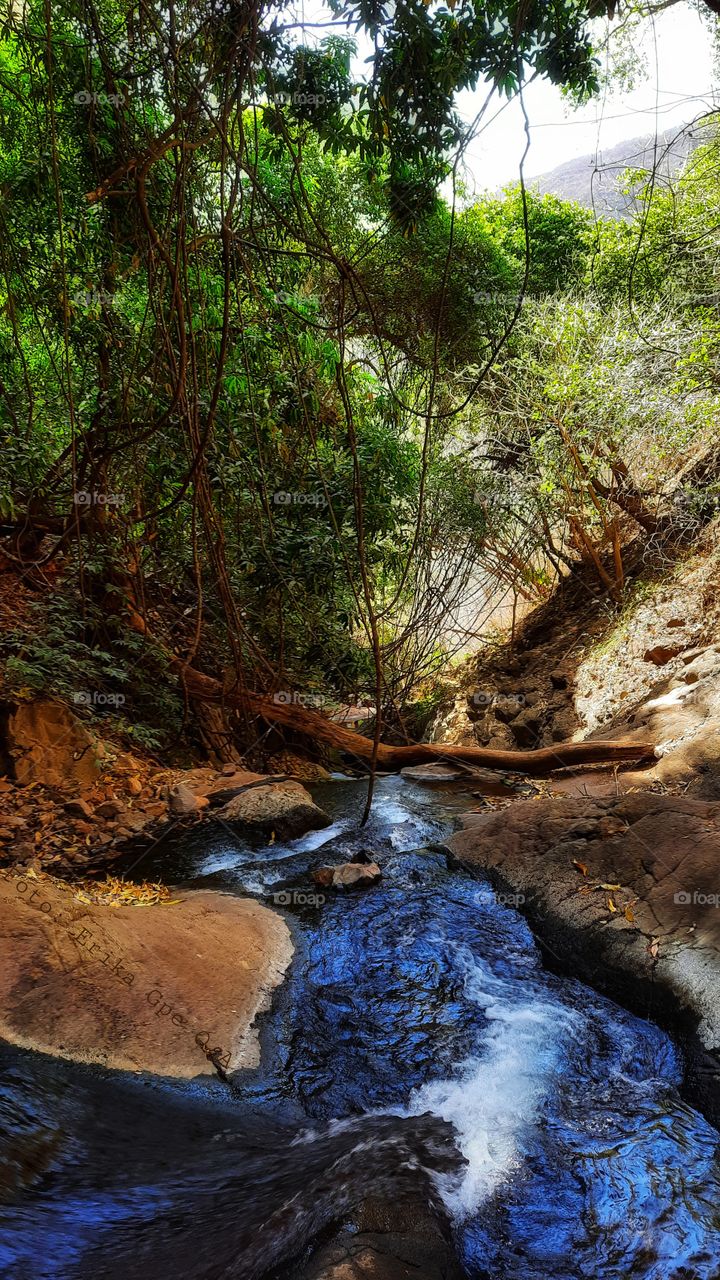 sunset over the river,sunset,river,rural,countryside,nature,reflection,landscape,summer,colorful,spring,green,tree,water,Stone