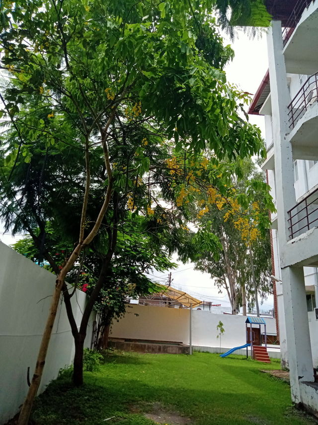 The green campus