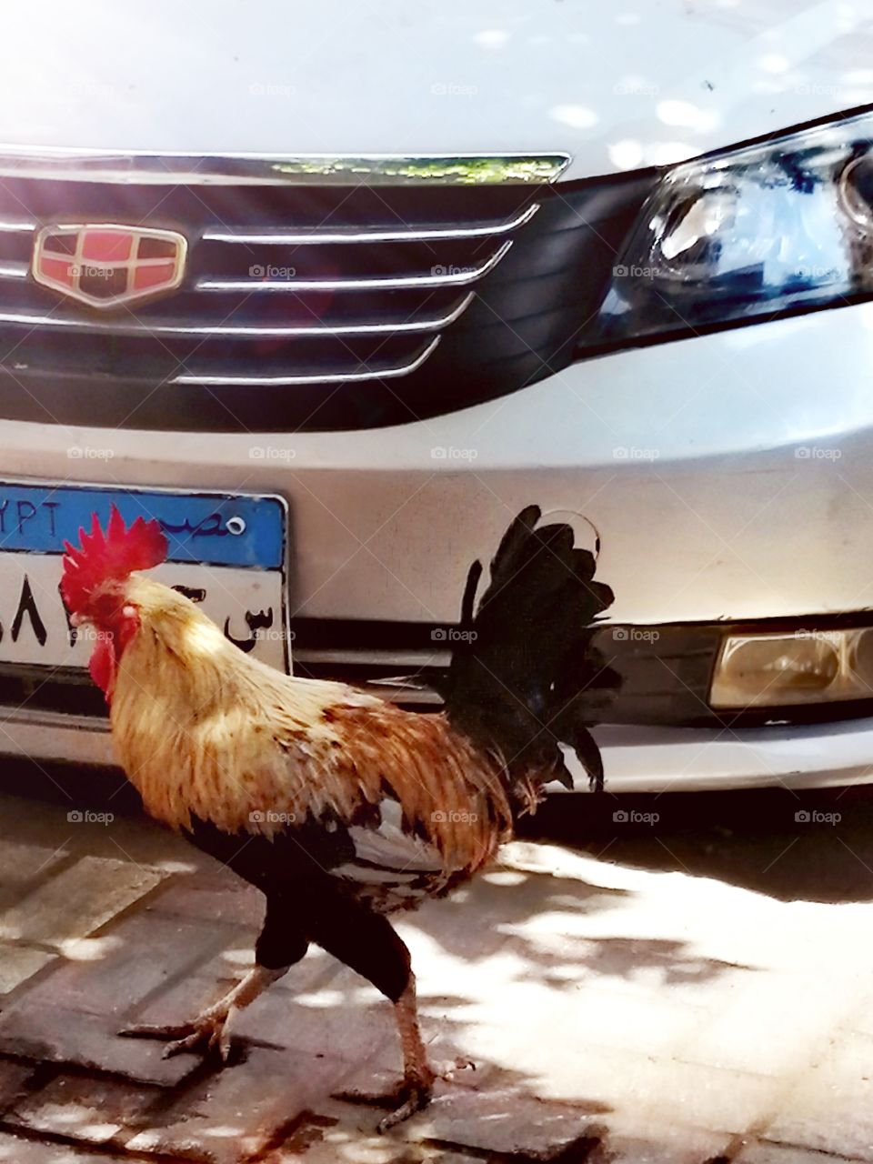 Dick walks down the street in front of a car.