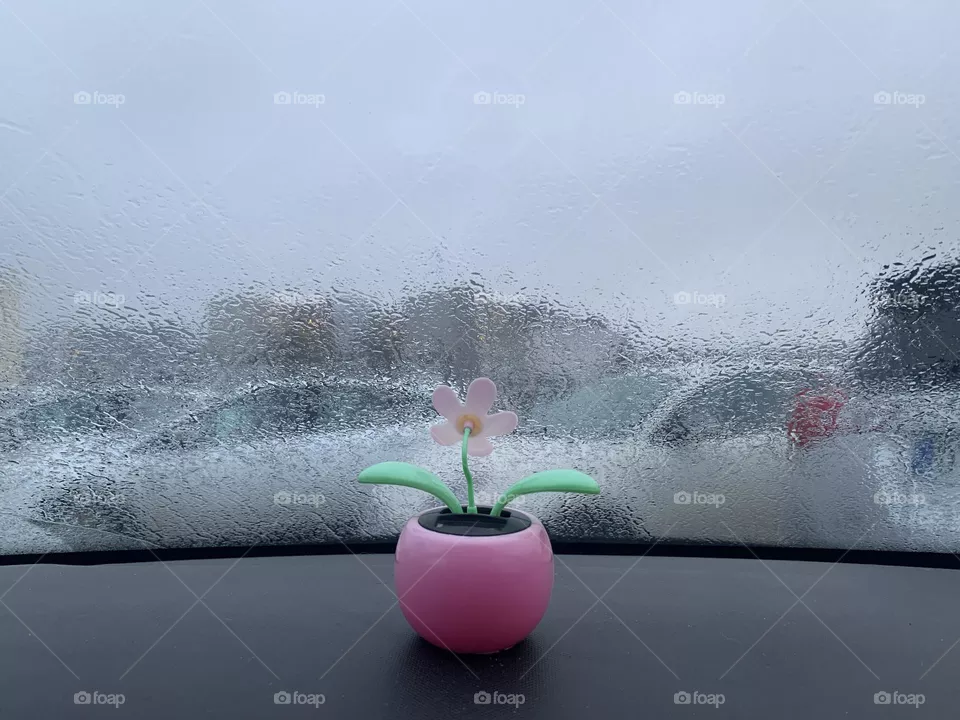 Always rainy 