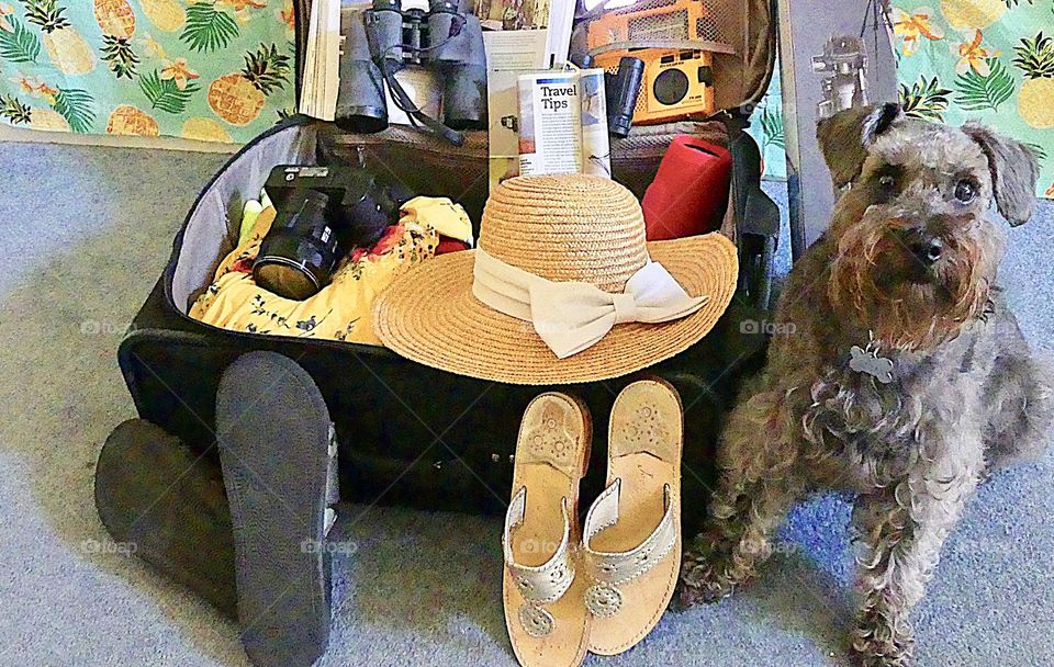 
“If you think I'm NOT going to sit here and make you feel guilty while you pack, you've got another thing coming."