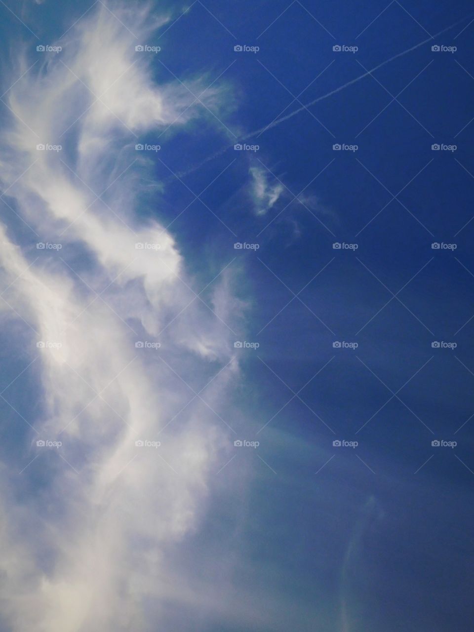 Can you see a Phoenix?