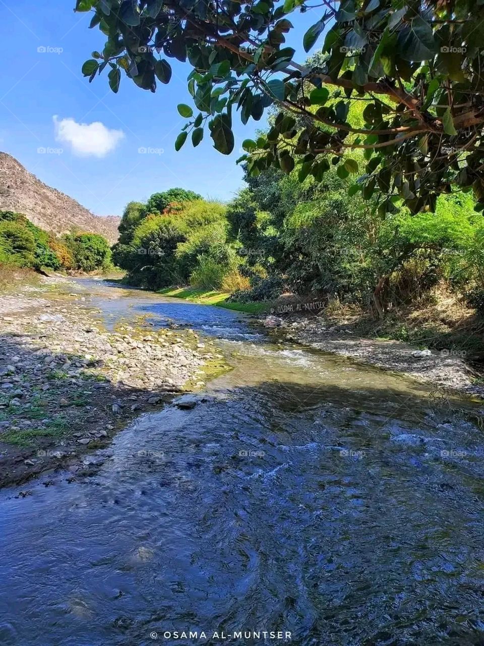 Glory be to God, the magnificent and picturesque view and the natural green trees are a view that is nothing more wonderful than it