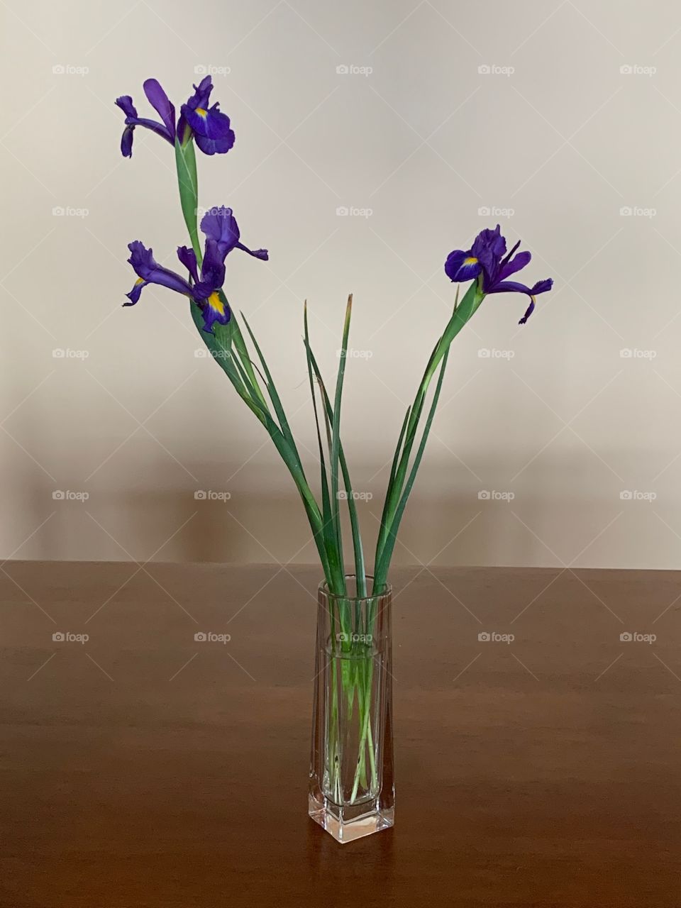 Vase with Iris