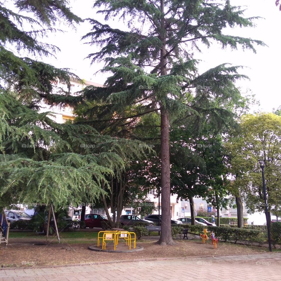 Walking in the square