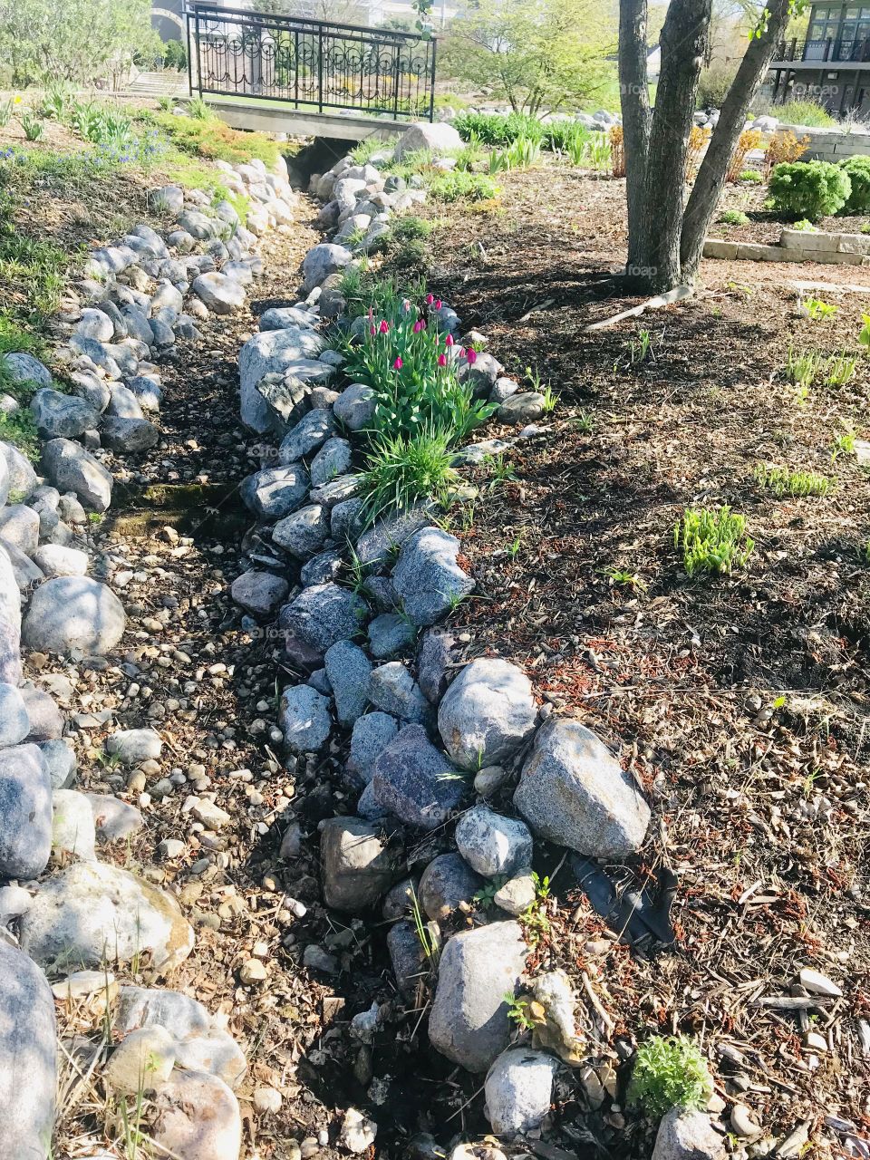 Gorgeous sites seen out for morning walk while trying to take in what nature all has to offer! 