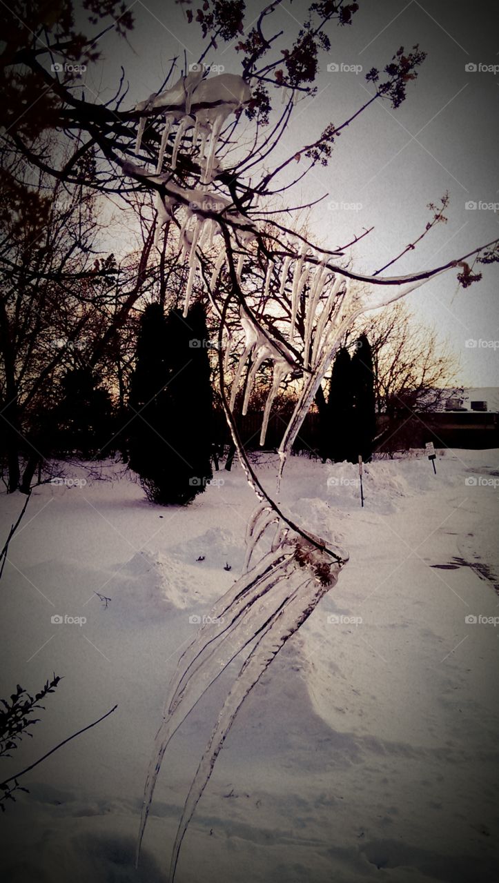 Icicles in Wisconsin