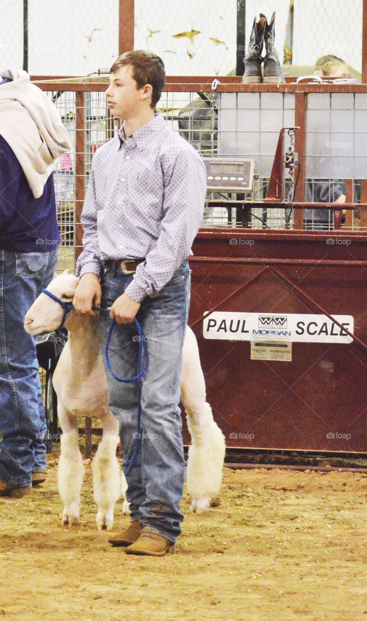 Teenage boy with white sheep