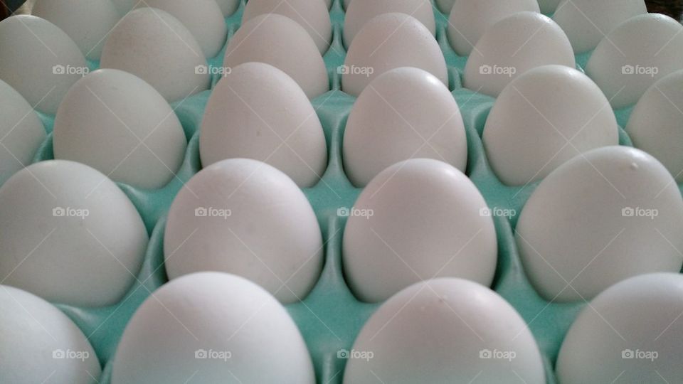 eggs