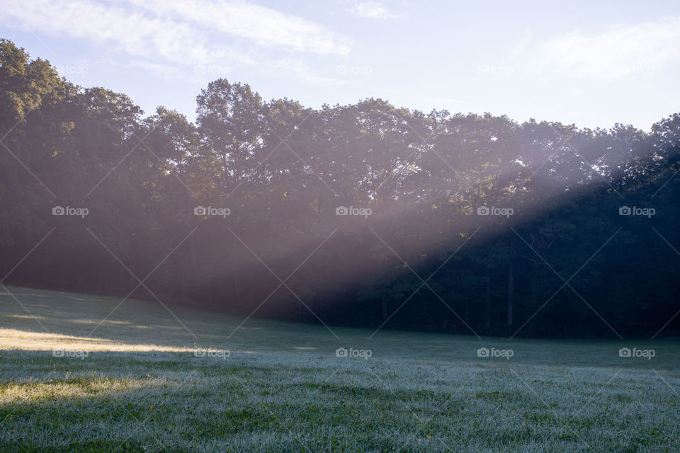 Fresh autumn morning