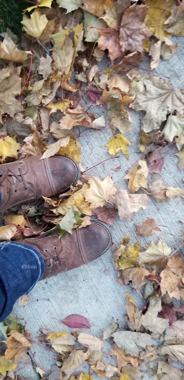 Autumn Shoe Shot