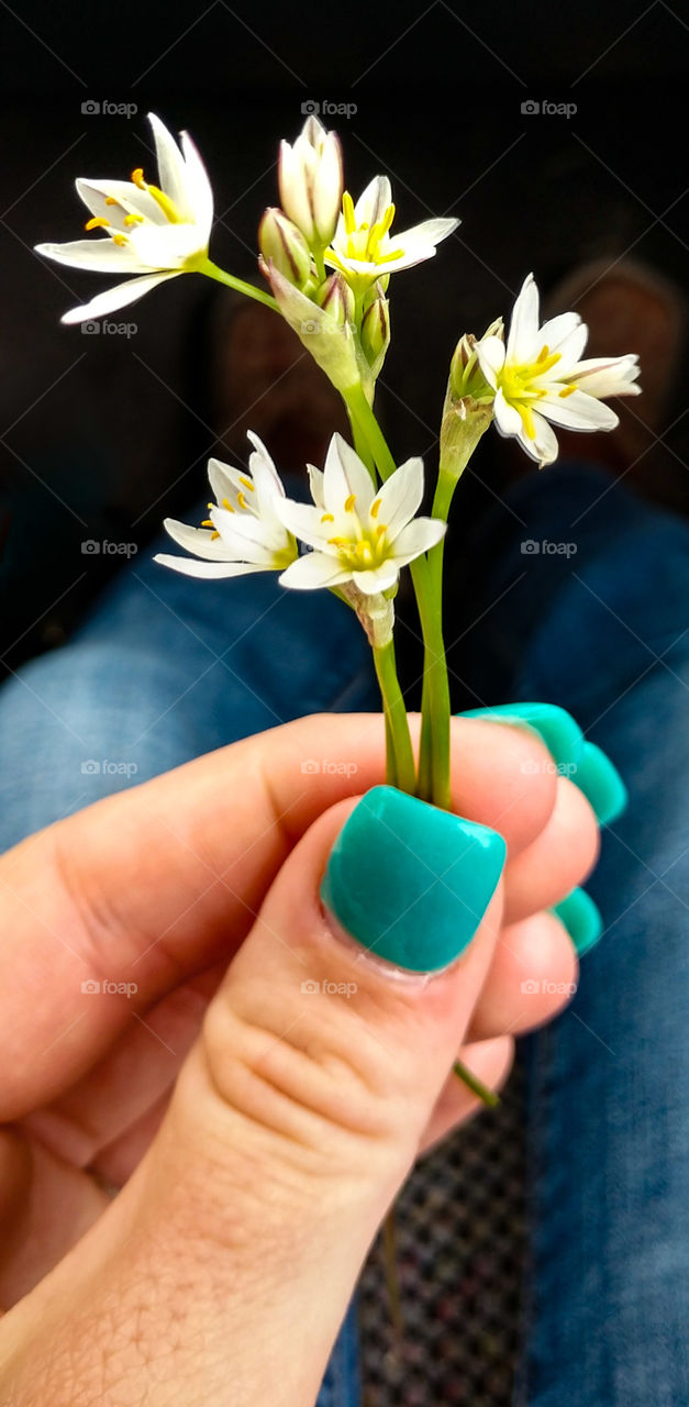 mini flowers