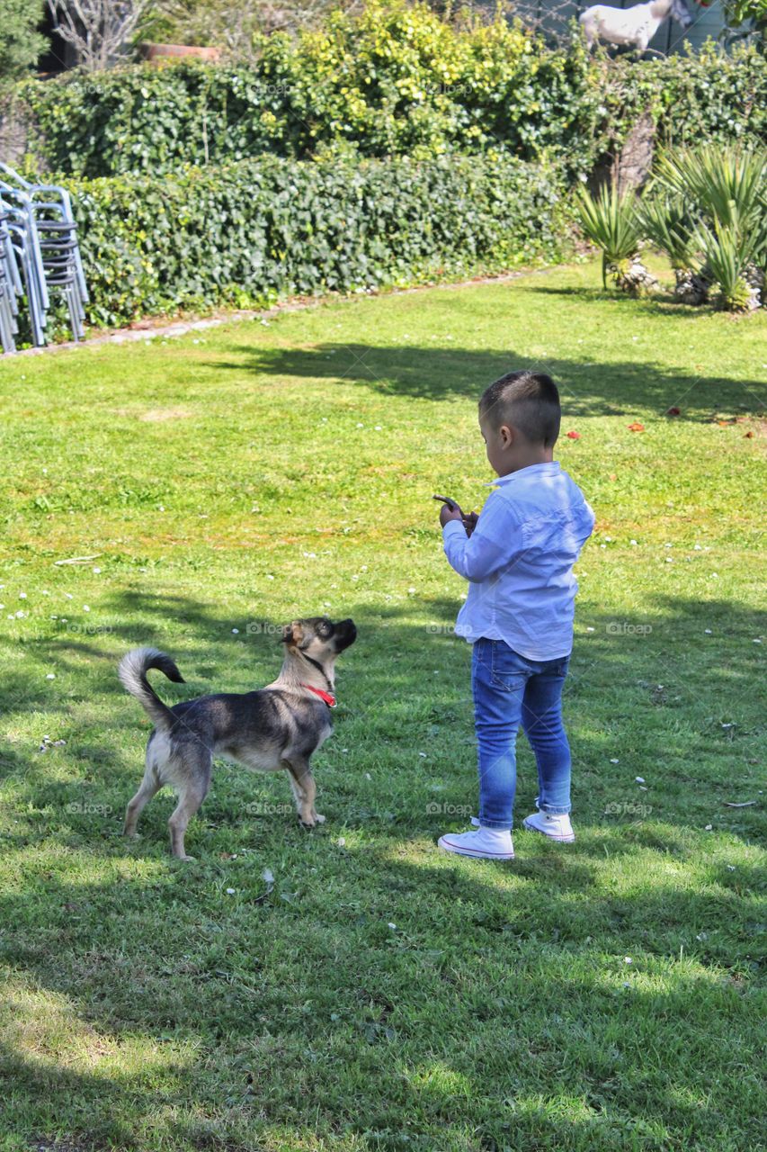 a boy and a dog