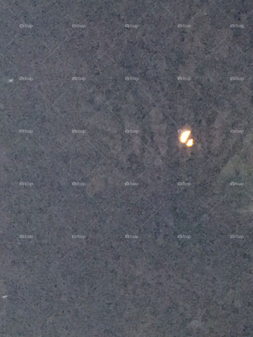 Full moon in the trees 