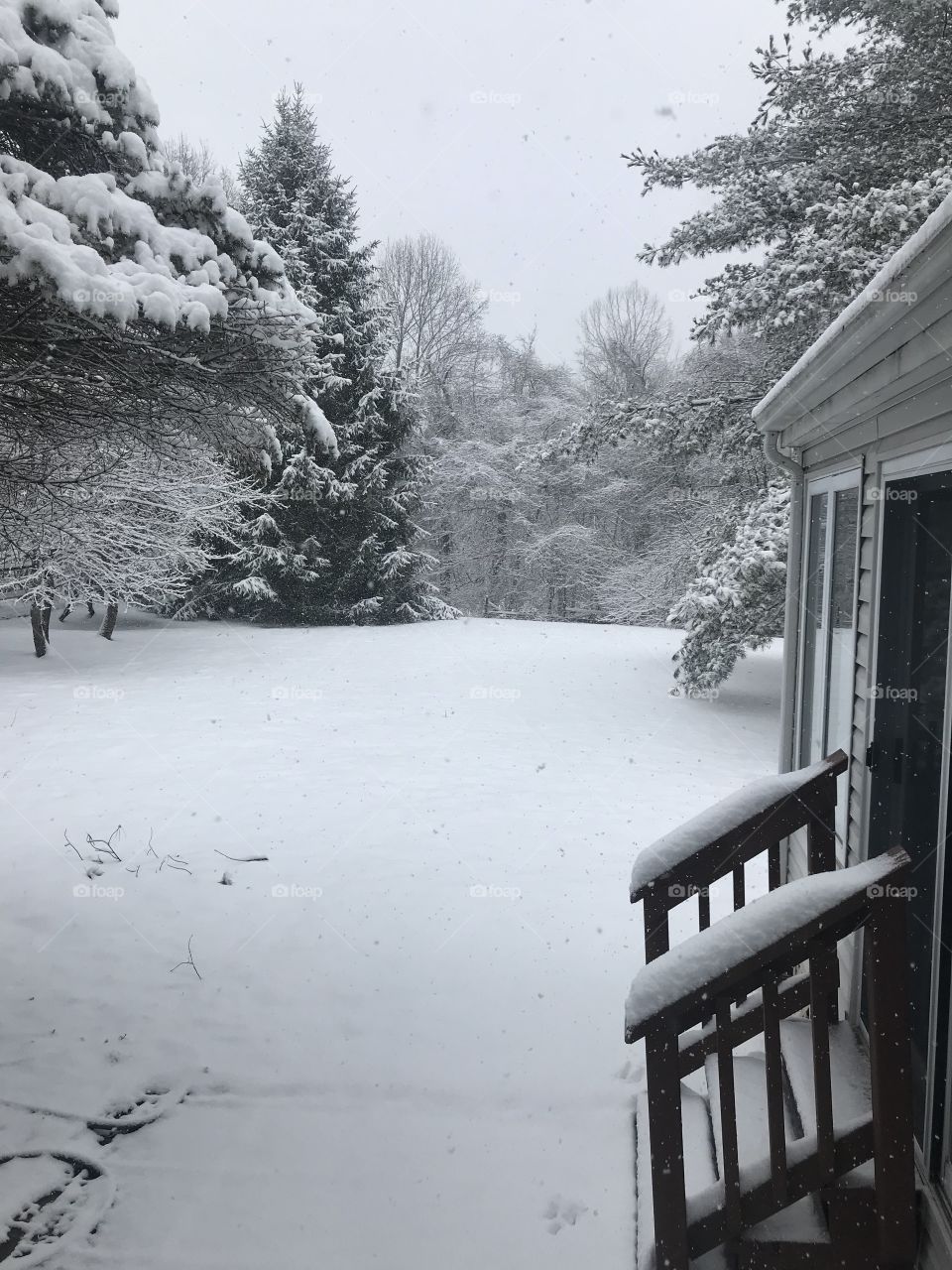Crazy snowy day in March 