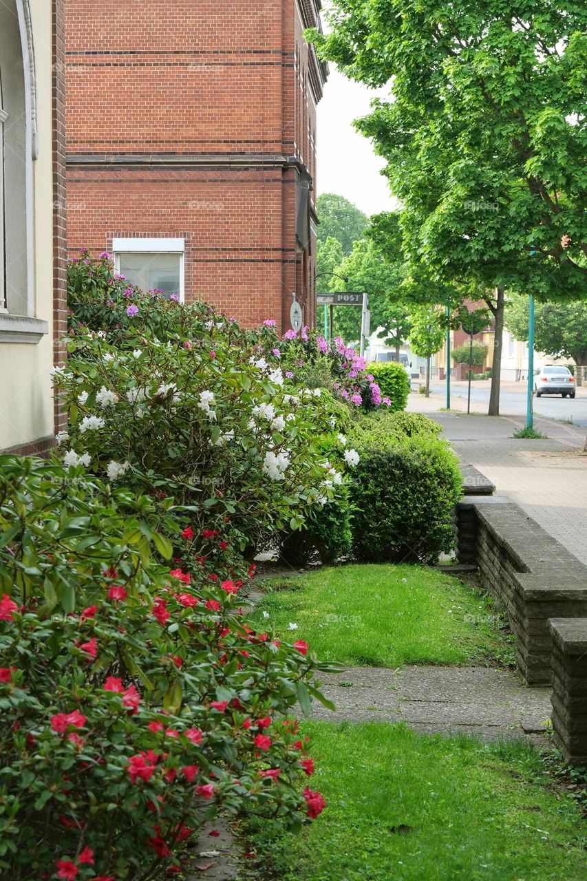 City ​​front yard