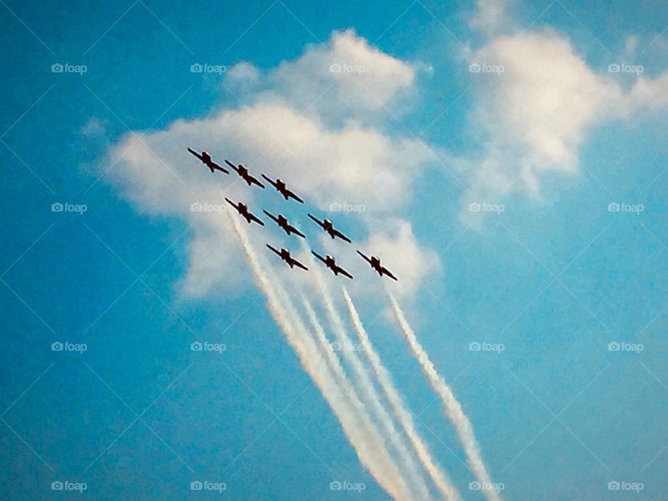 The Snowbirds