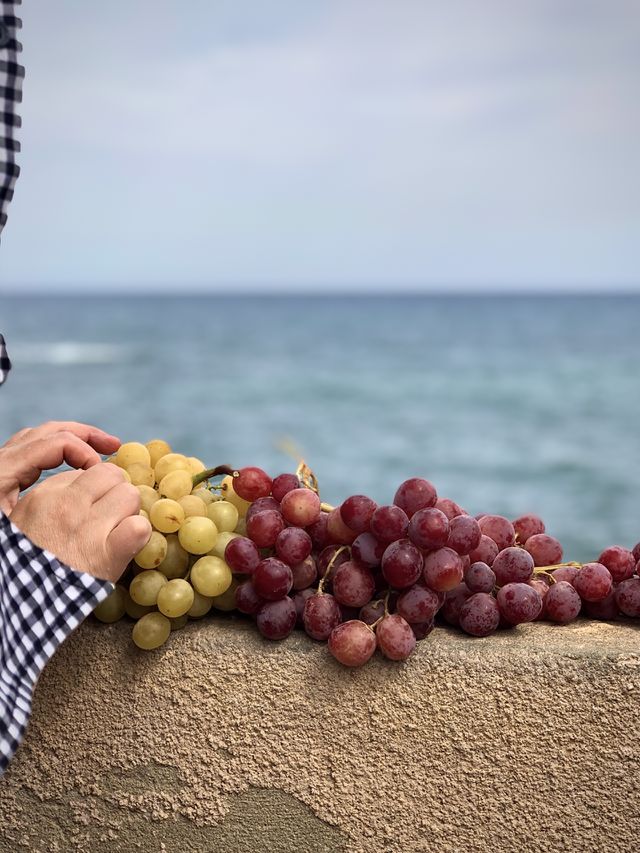 Photo of the week