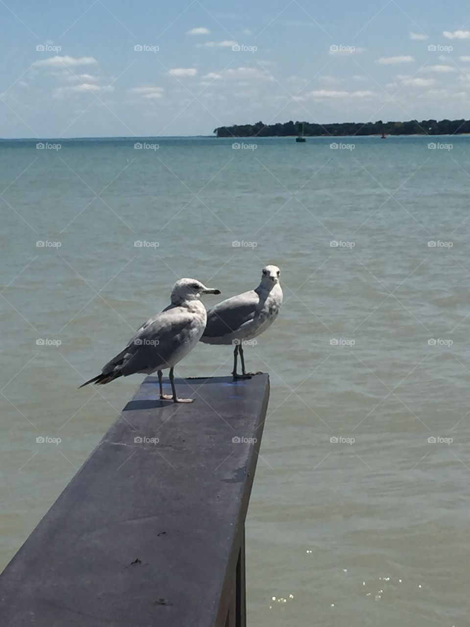 Love on a pier 