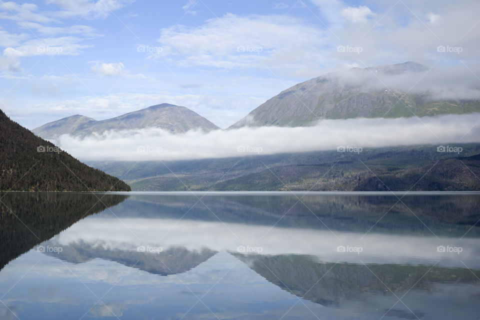 Morning Fog and Reflections