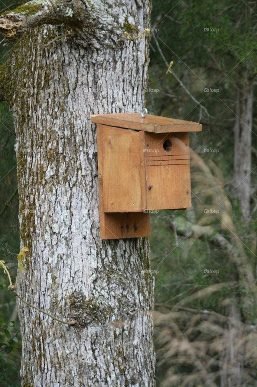 birdhouse