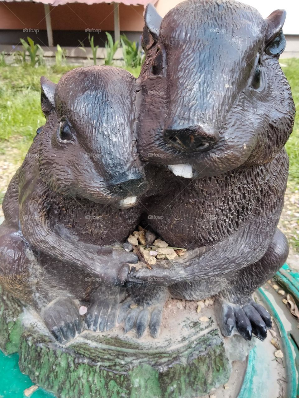 beavers are kind and will not leave their comrades in trouble