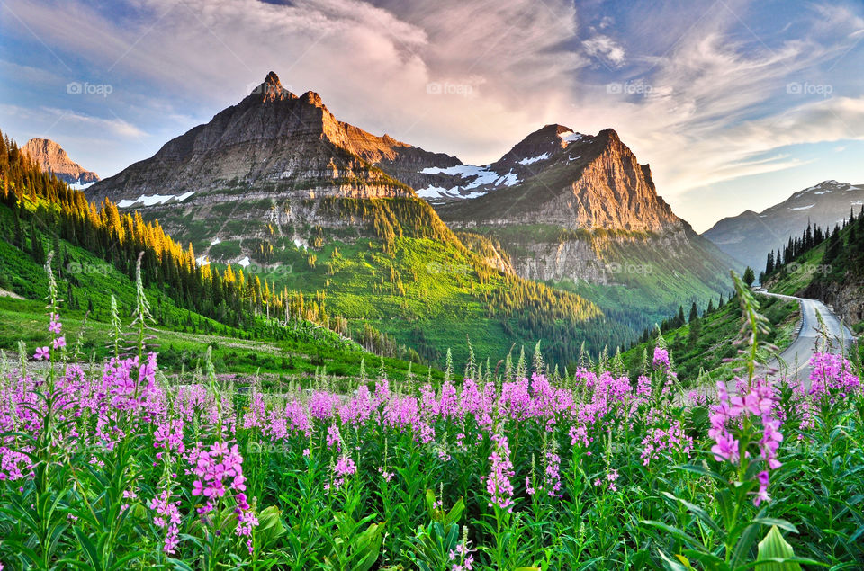 Montanhas lindas , flores , foto linda ❤️