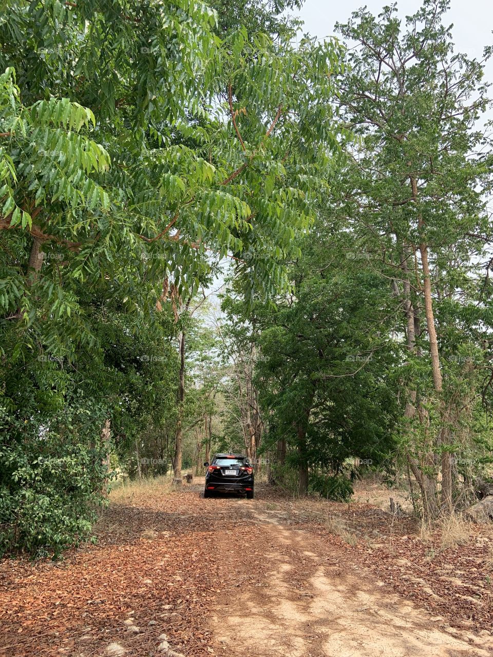 Holiday with my family, Countryside (Thailand)