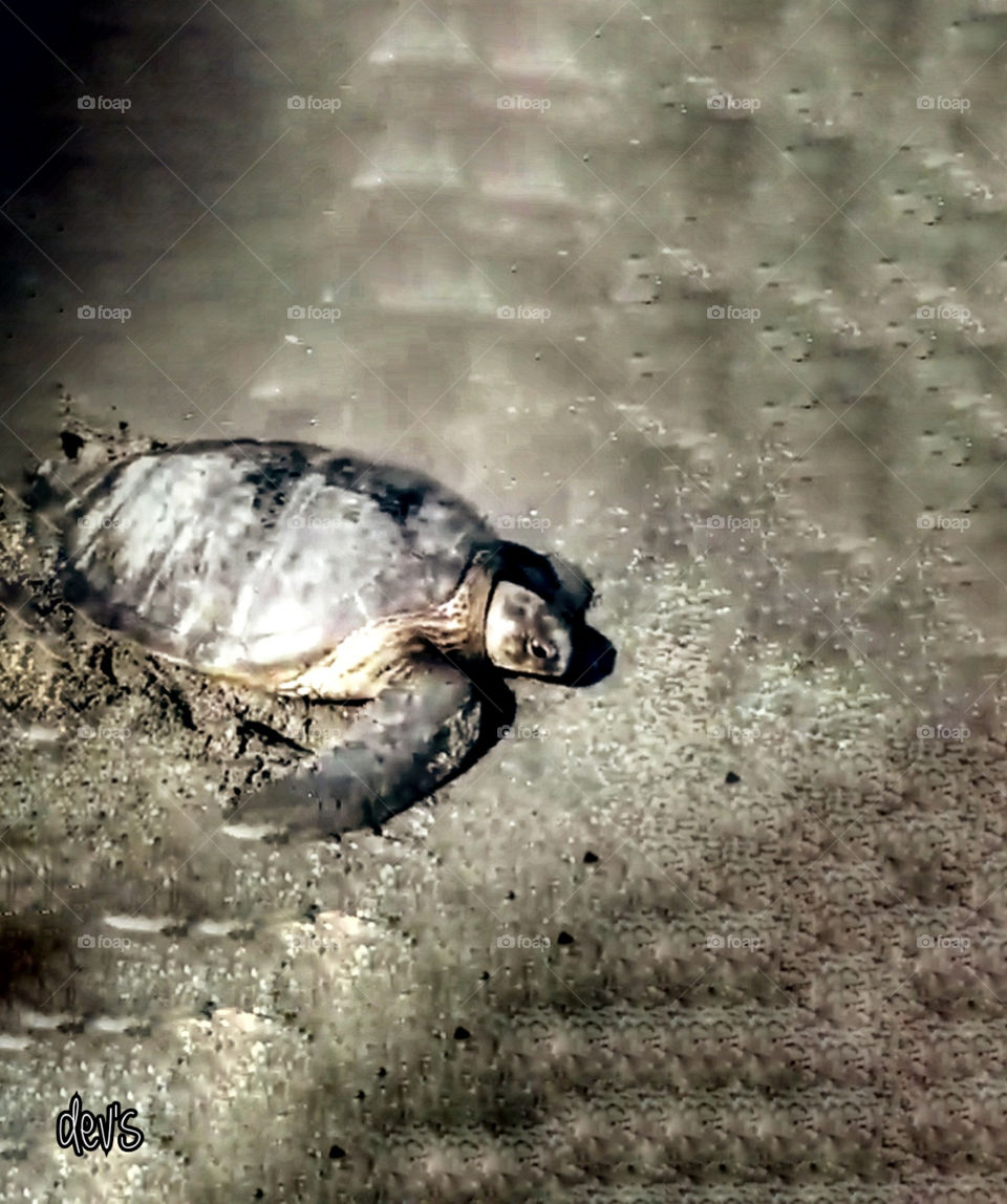 A journey to one destination requires patience and struggle