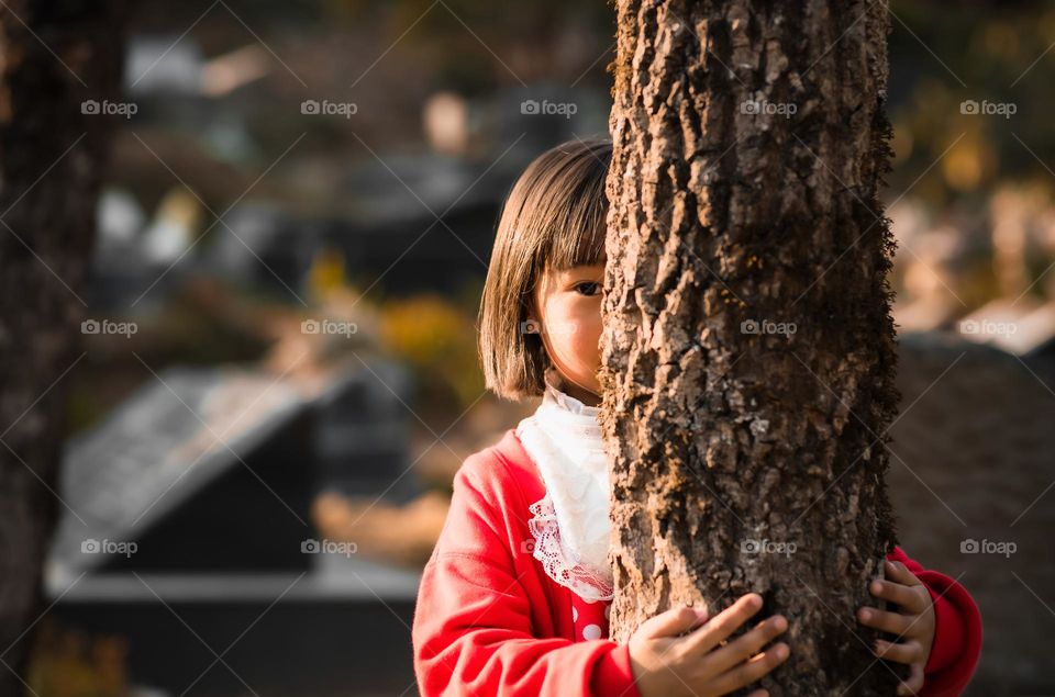 Portrait of a little girl trying to hide behind a tree trunk.