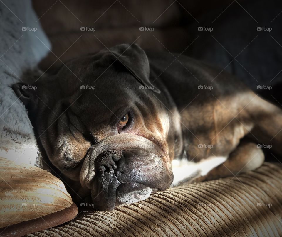 Please don’t wake me