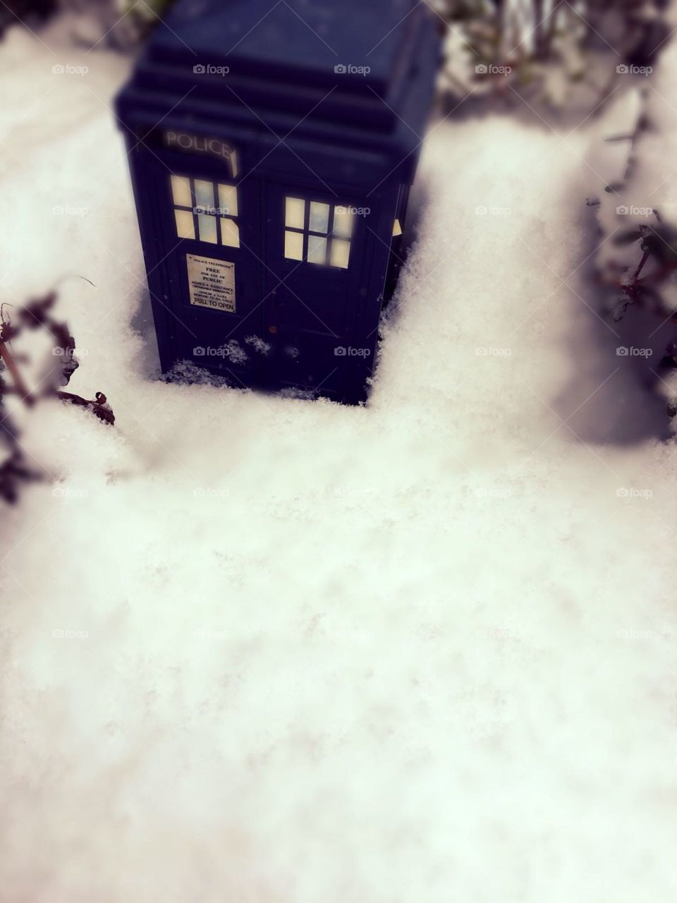 TARDIS in the snow