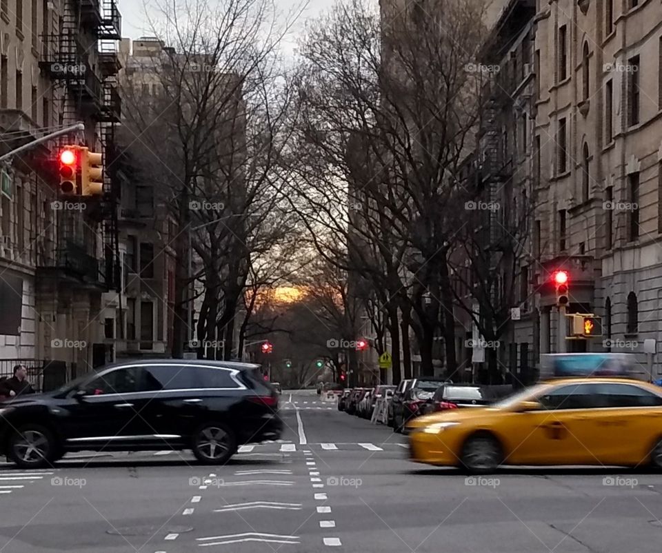 Sunset Through the Streets, Trees, Buildings of NYC