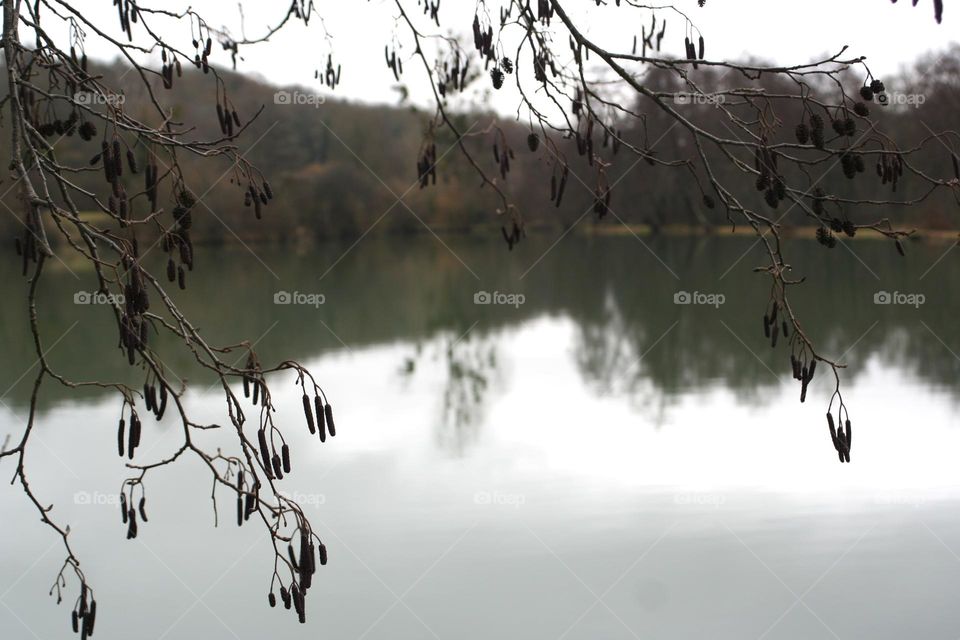 A Lake One Early Morning 