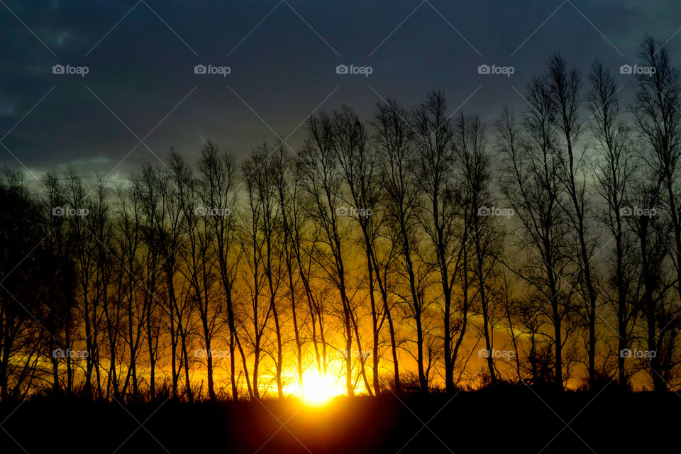 SunSet View Over The Trees