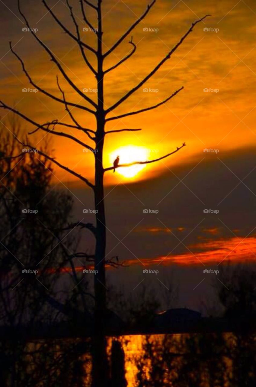 Serenity . So much beauty to see 