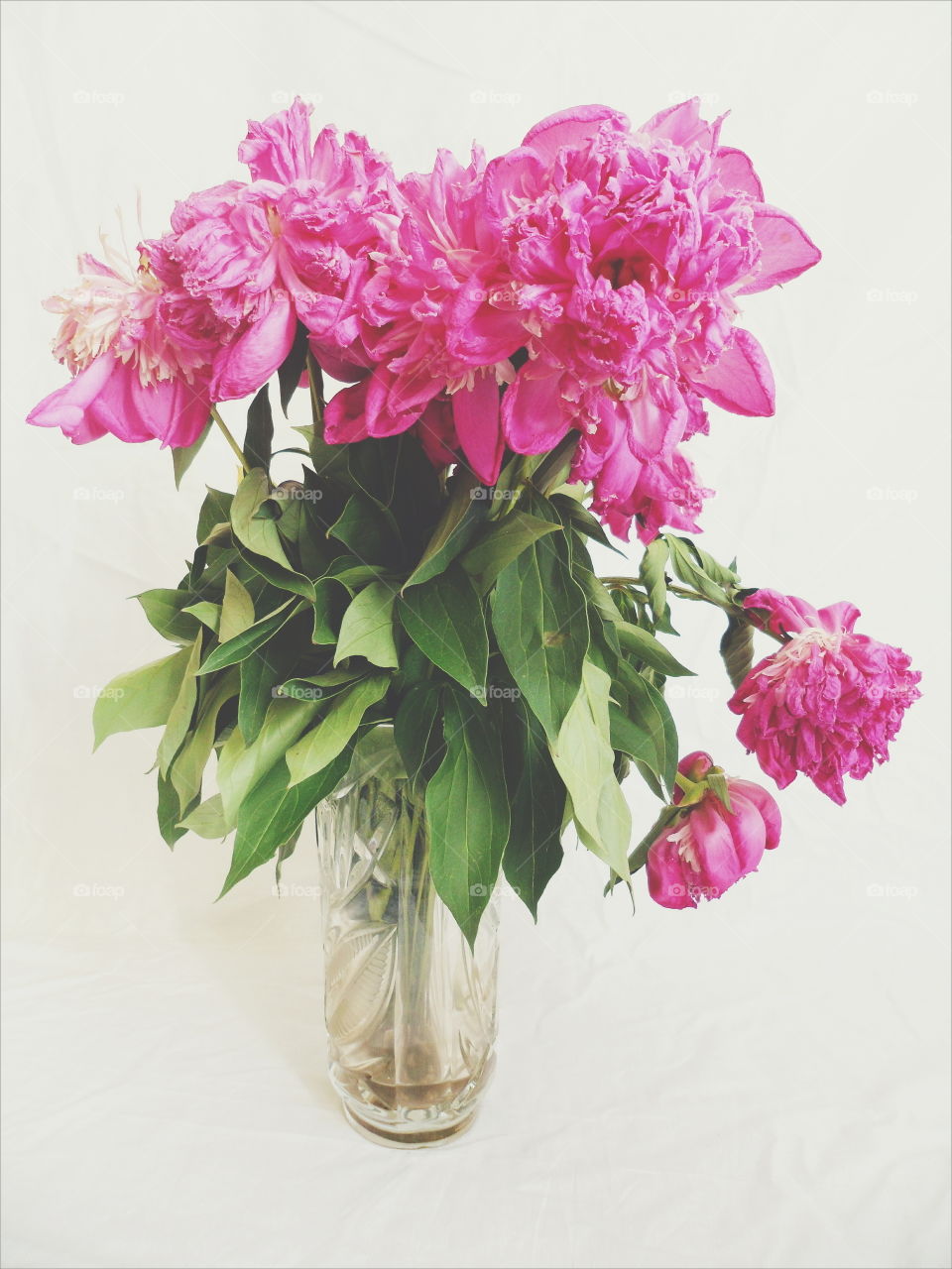 bouquet of wilted pion flowers