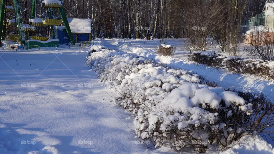 snow