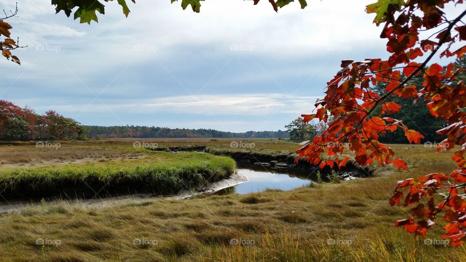 Rachel Carson  National Wildlife Preserve 