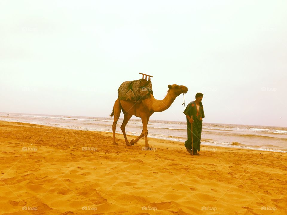 Just an ordinary day in Morroco