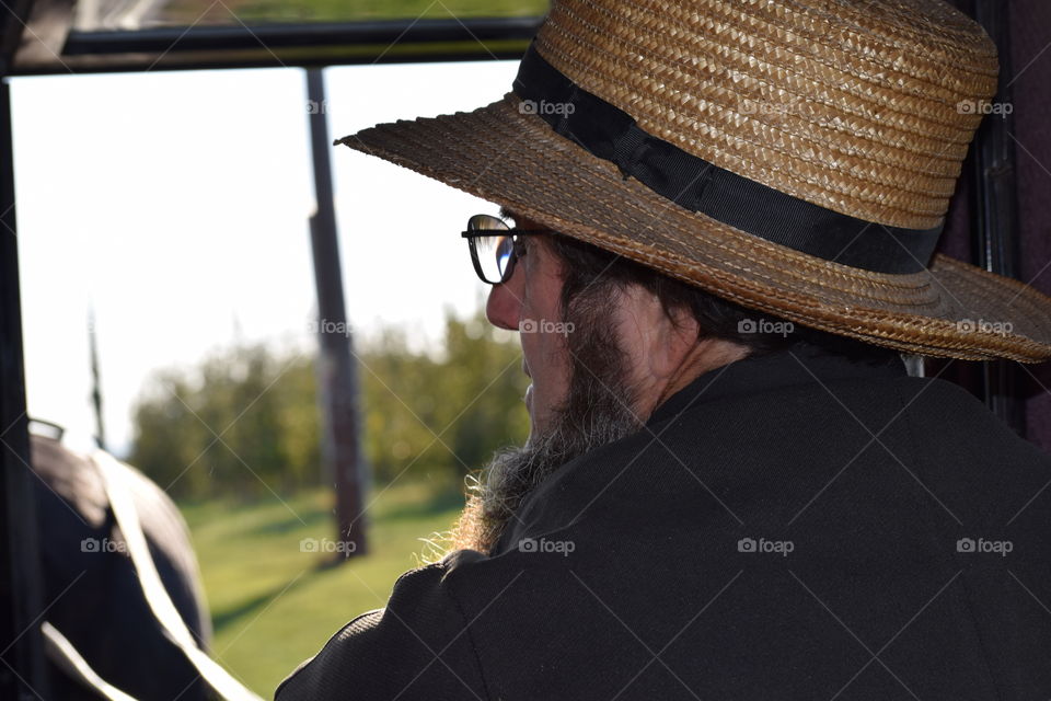 Amish Buggy Ride