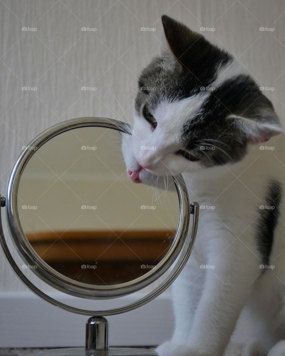 How does a mirror taste?