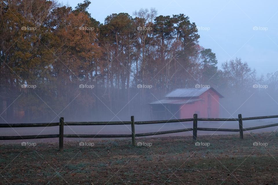 An old red barn behind a wooden fence on a foggy morning just before sunrise. Lake Benson Park in Garner North Carolina. 