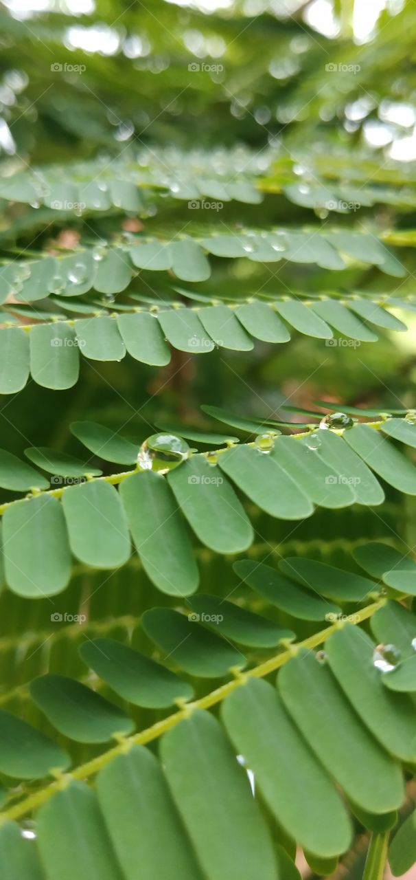 natural photographers clickers lovers from heart