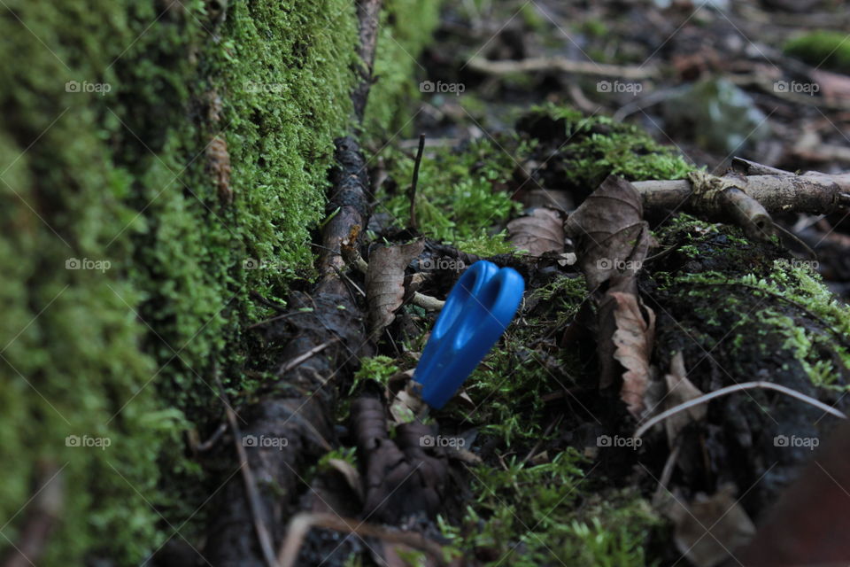 Blue scissors . At the end of a disused railway tunnel there was these scissors stuck in the moss